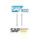SAP ECC Subsidiary Integration